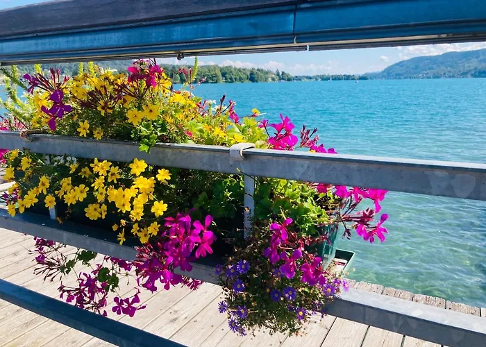 Almhuette Zwei Welten לינה וארוחת בוקר 3*